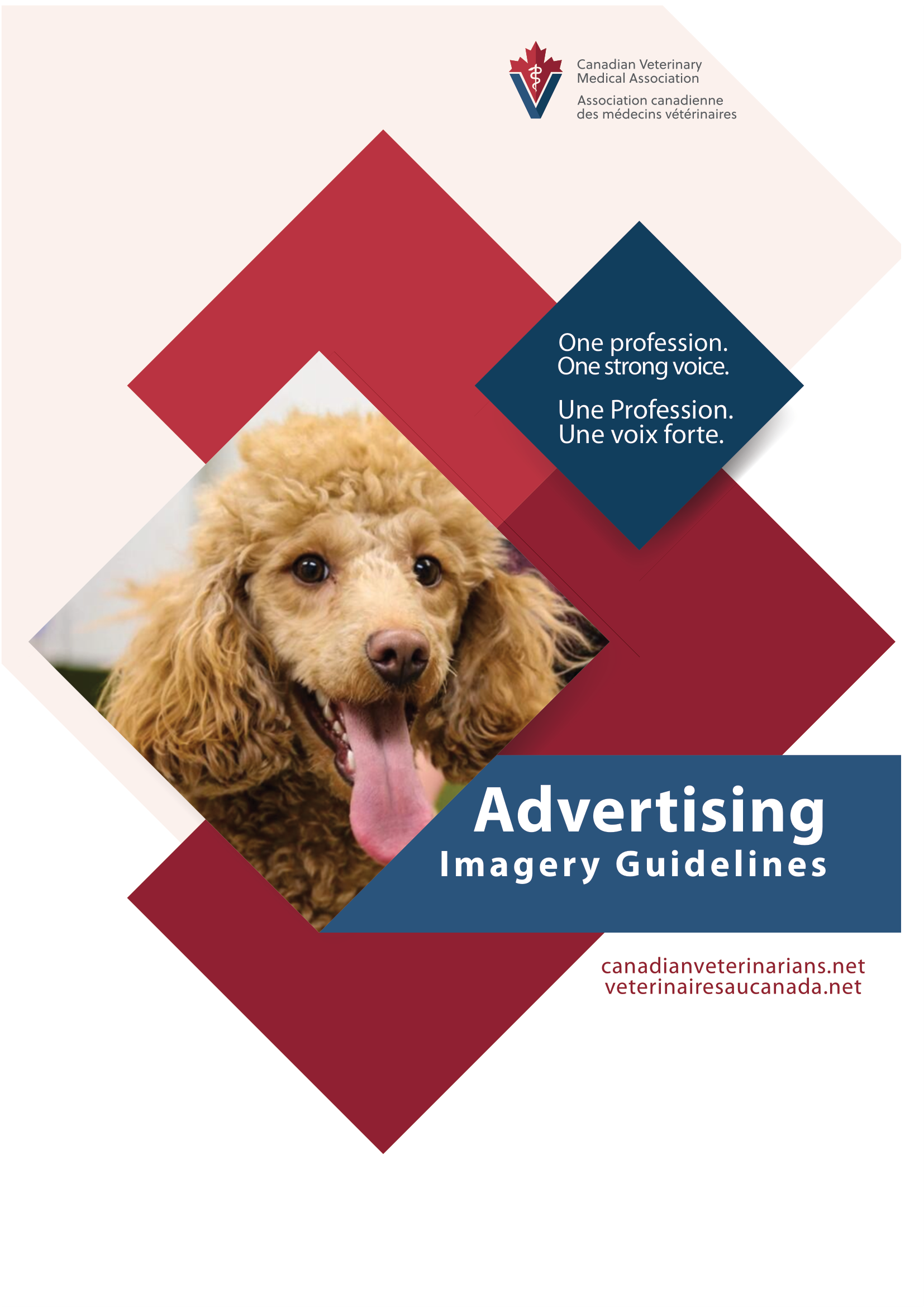 Advertising Imagery Guidelines