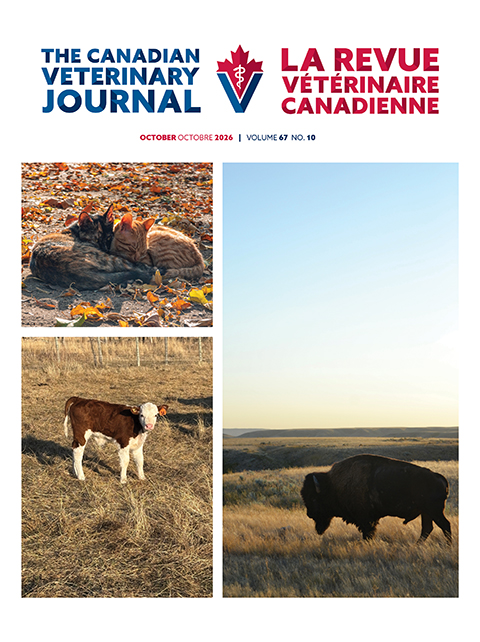 October 2026, Vol. 67, No. 10