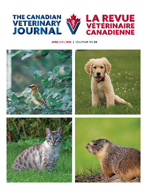 April 2026, Vol. 67, No. 4