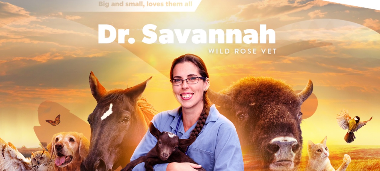 Wild Rose Vet