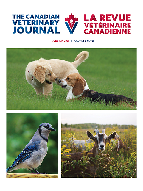 June 2025, Vol. 66, No.6