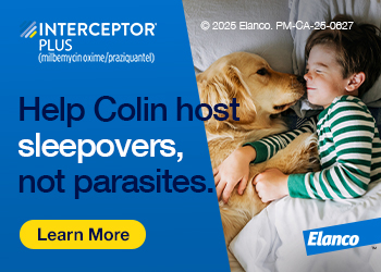 Feb - Interceptor Plus