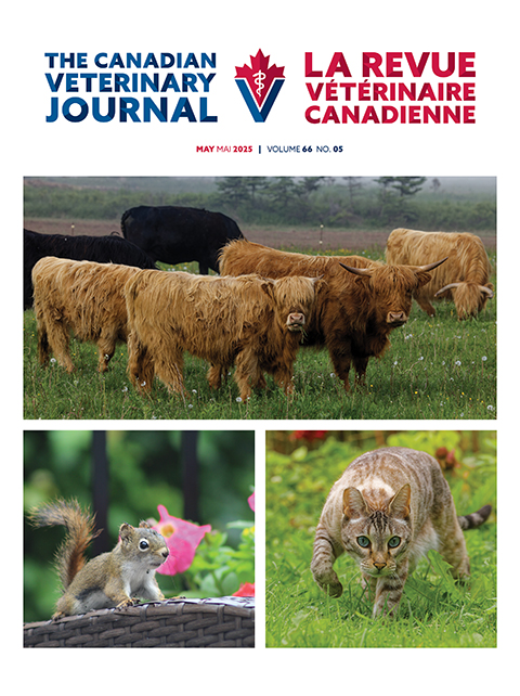 May 2025, Vol. 66, No. 5
