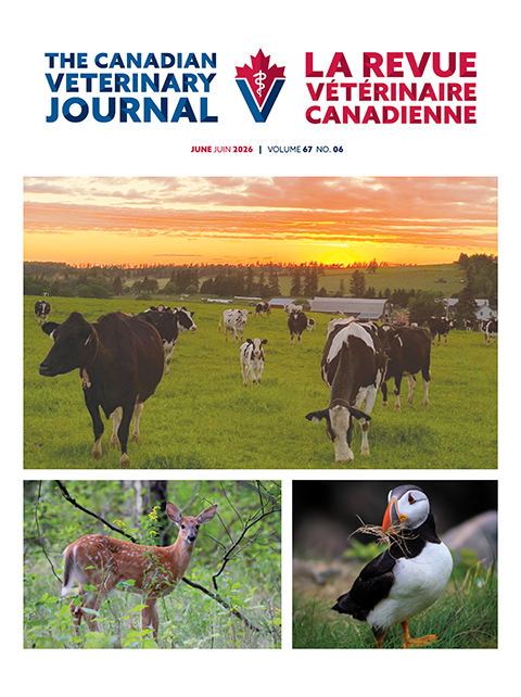 June 2026, Vol. 67, No. 6