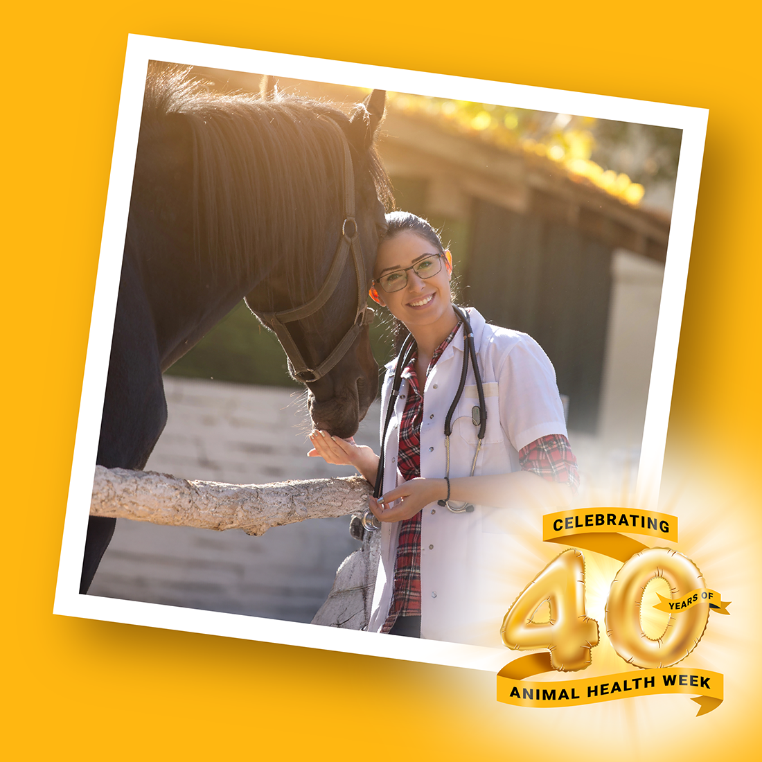 Animal Health Week