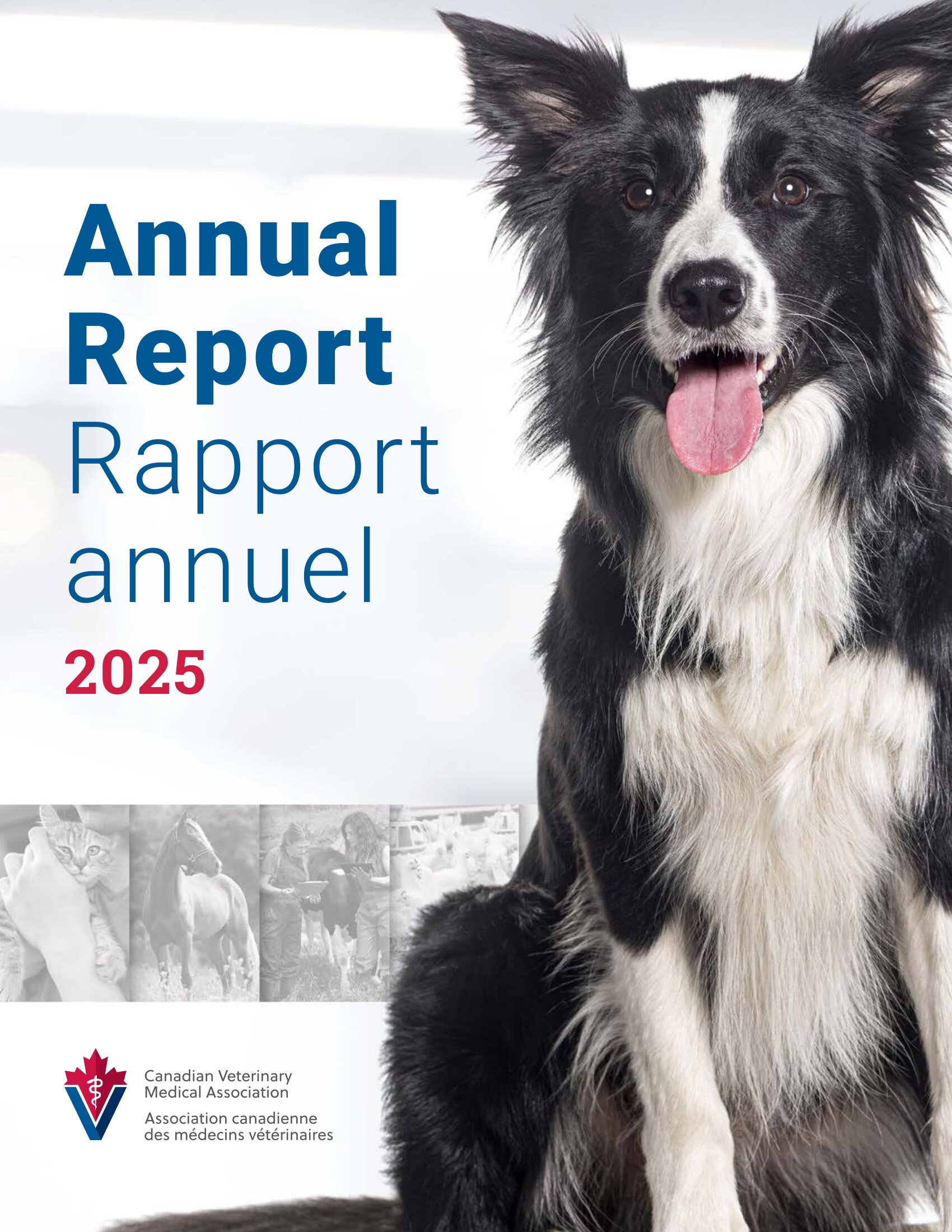 CVMA Annual Report 2025