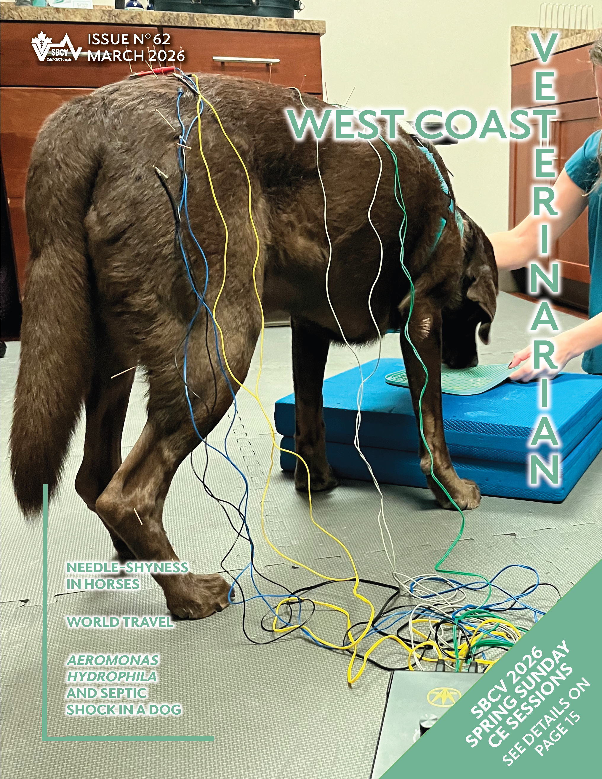 Issue No 62 March 2026 Cover