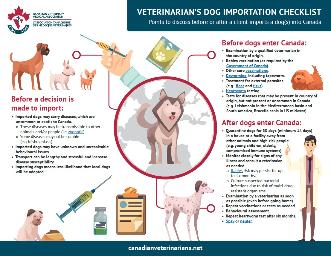 Veterinarians Dog Importation Checklist