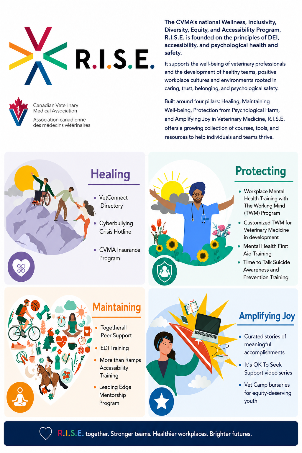 CVMA RISE Program