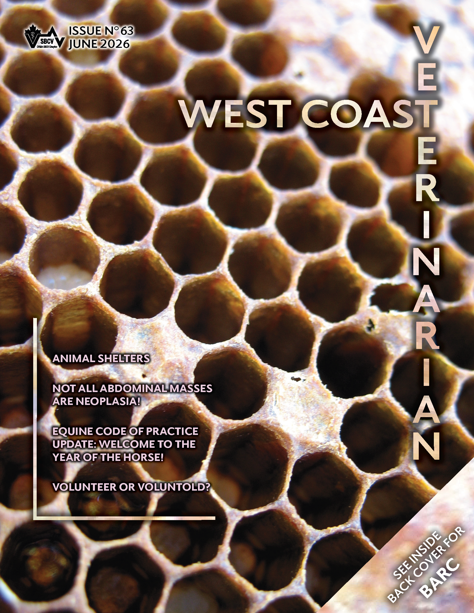Issue No 63 JUNE 2026 Cover