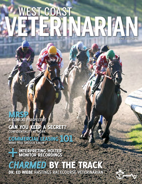 Summer 2013 Cover