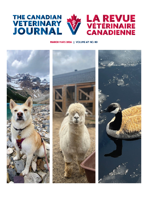 March 2026, Vol. 67, No. 3