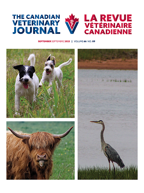September 2025, Vol. 66, No. 9