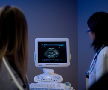 Vets looking at an ultrasound