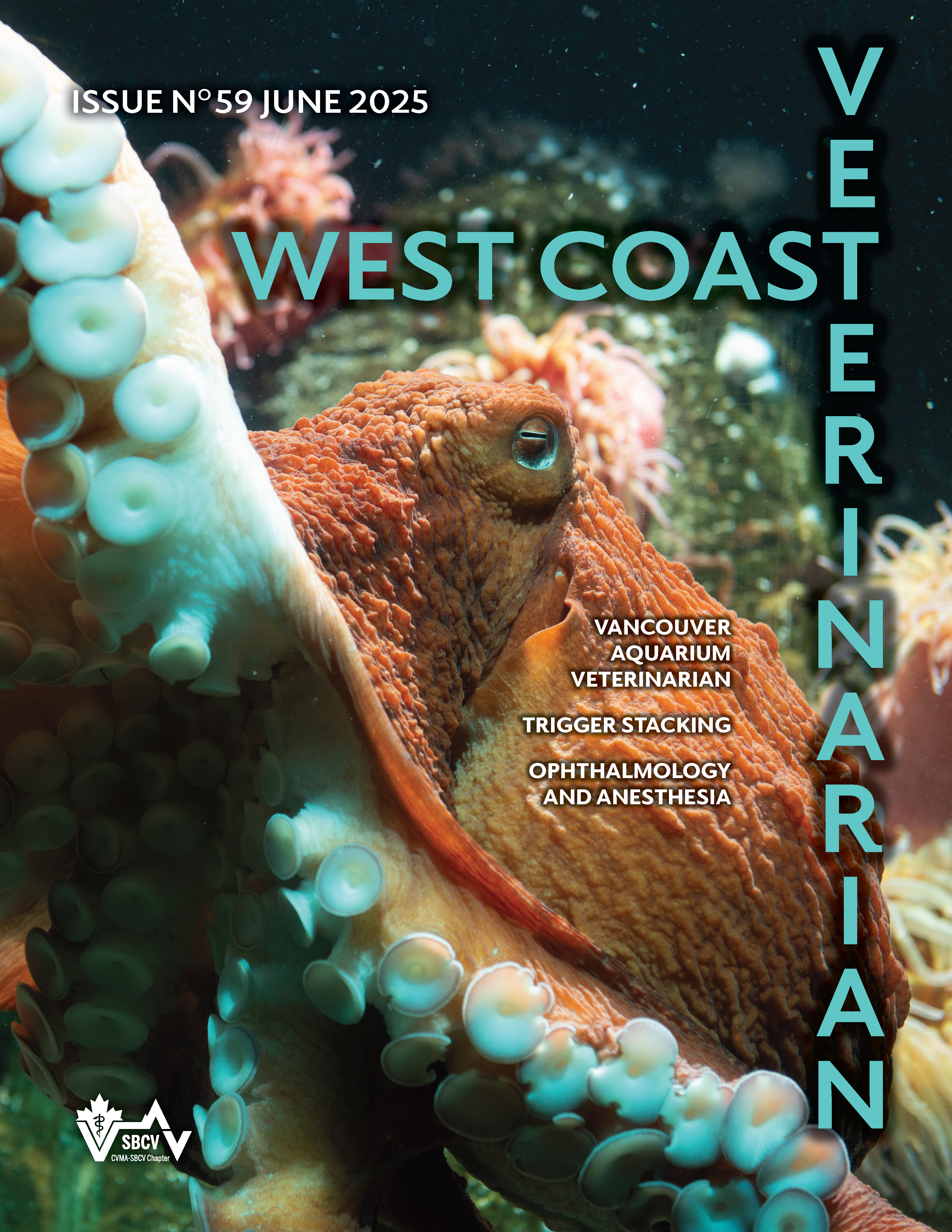Issue No 59 June 2025 Cover