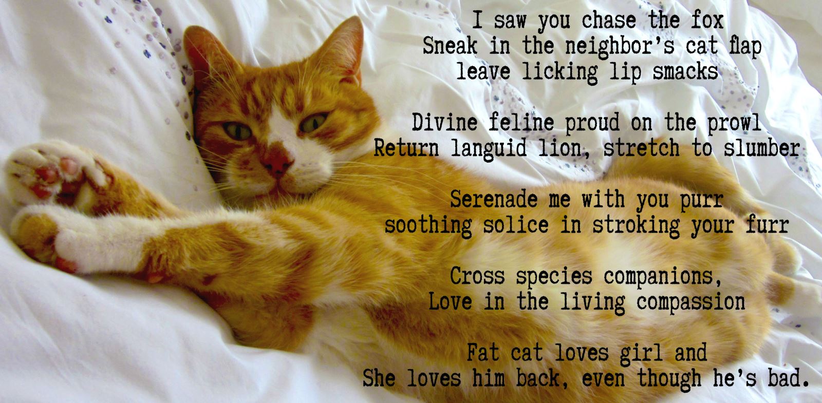 Pet Poetry