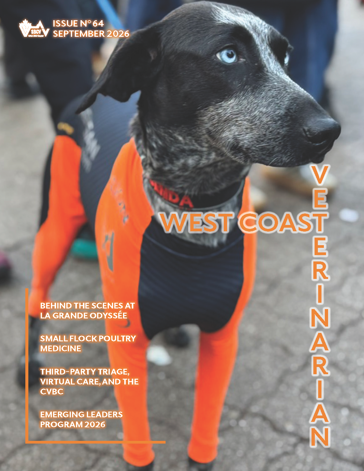 Issue No 64 SEPTEMBER 2026 Cover