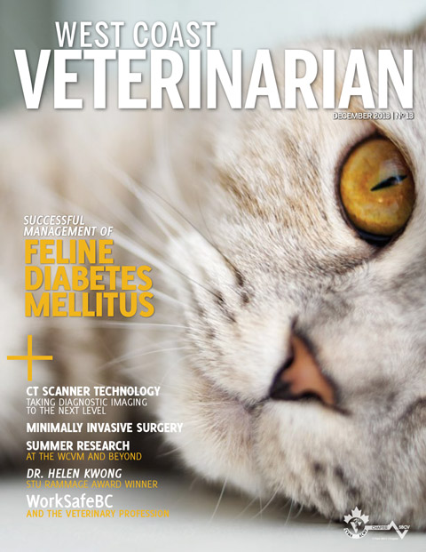 Winter 2013 Cover