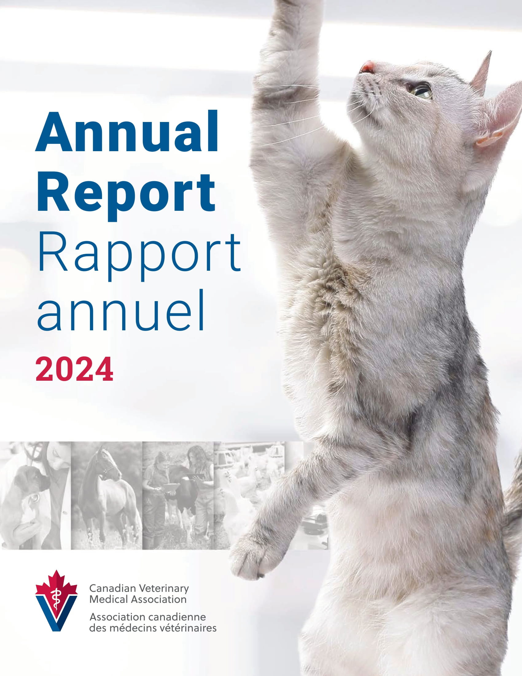 CVMA Annual Report 2024
