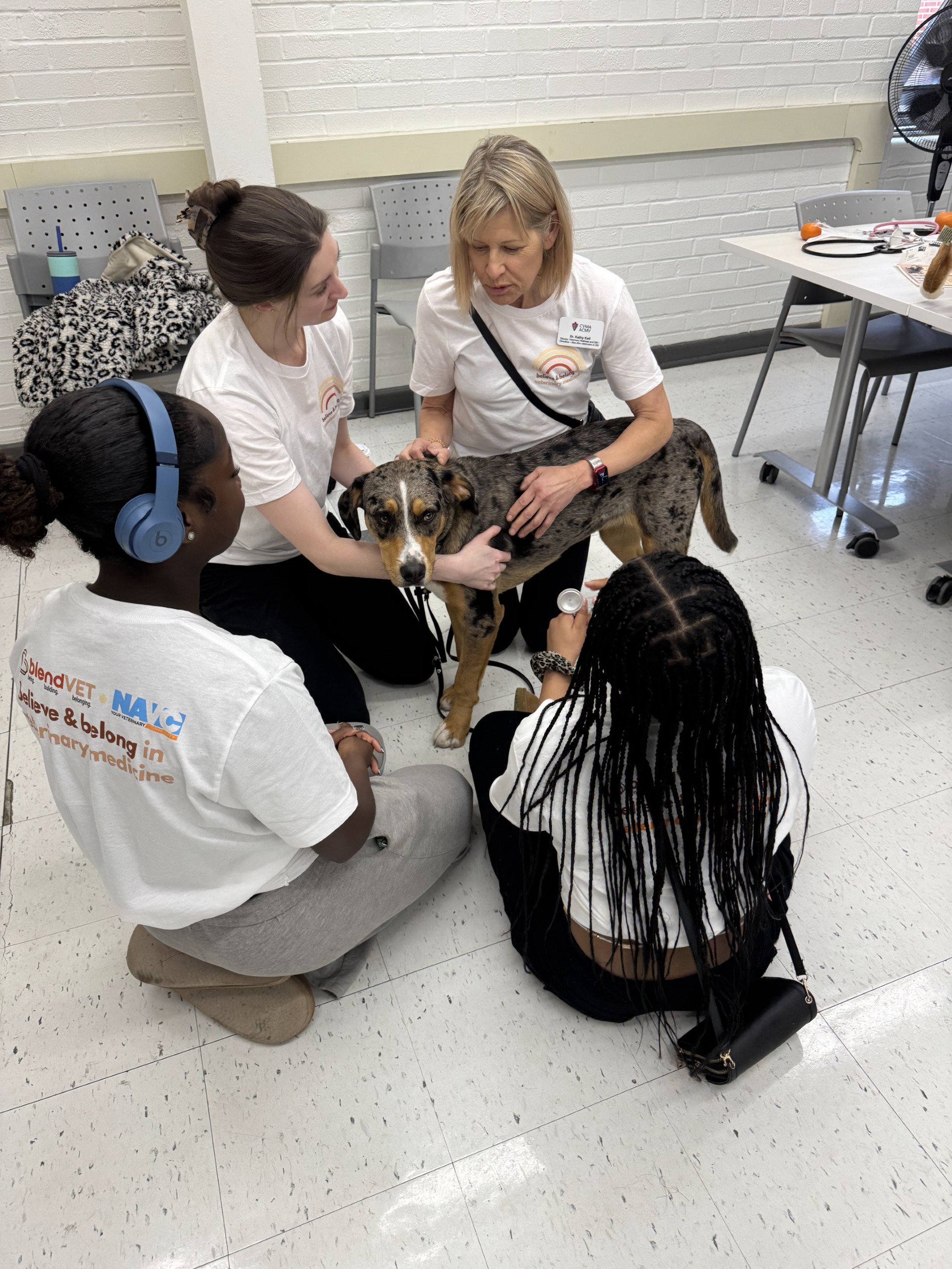 Dr. Kathy Keil, CVMA Director Wellness and DEI guided students through their first-ever dog physical exam—stethoscopes on, pulses checked, and body condition scored. A big day of firsts!