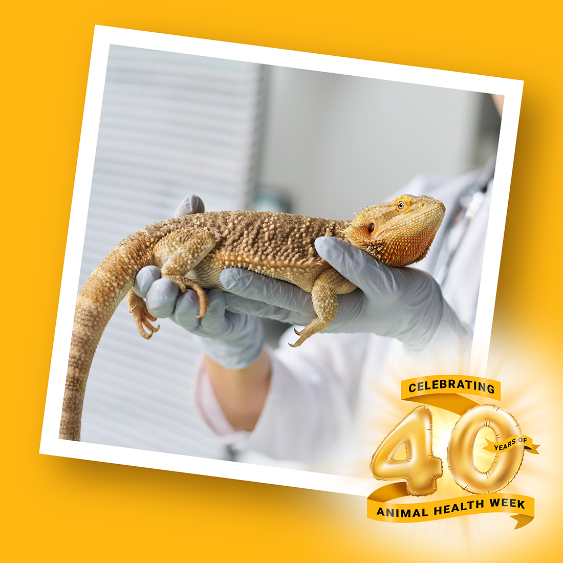 Animal Health Week