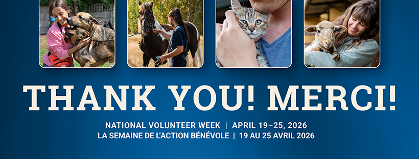 National Volunteer Week 2026