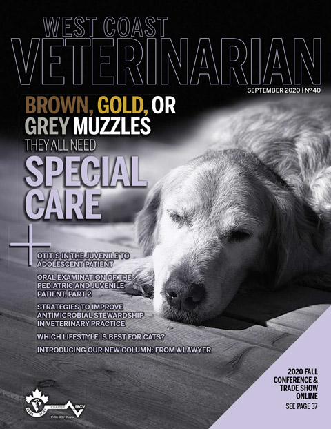Fall 2020 Cover