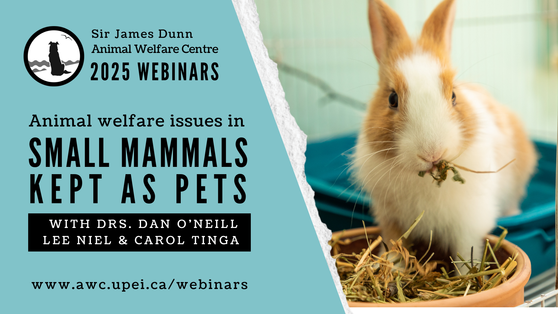 SJDAWC Webinar Series