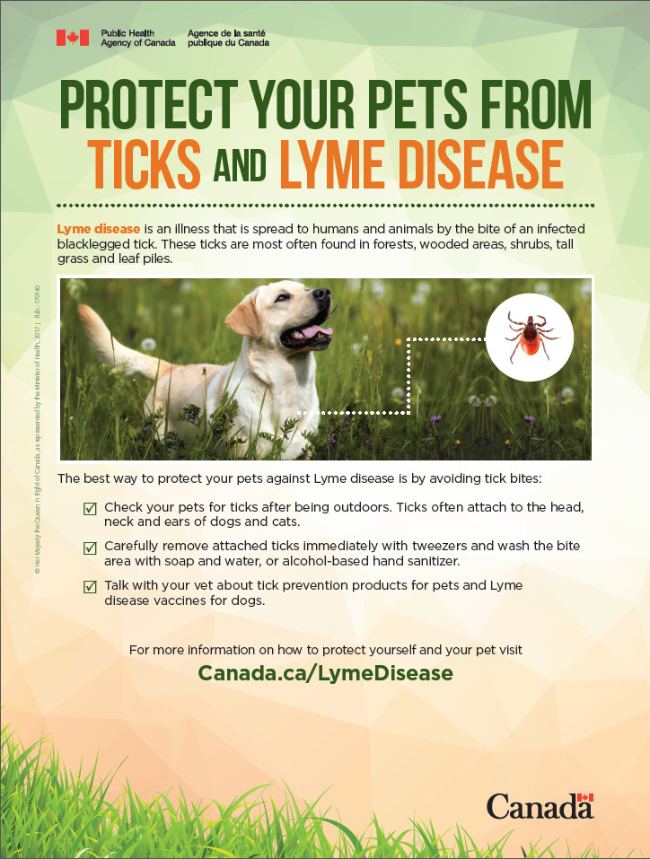 Lyme Disease poster