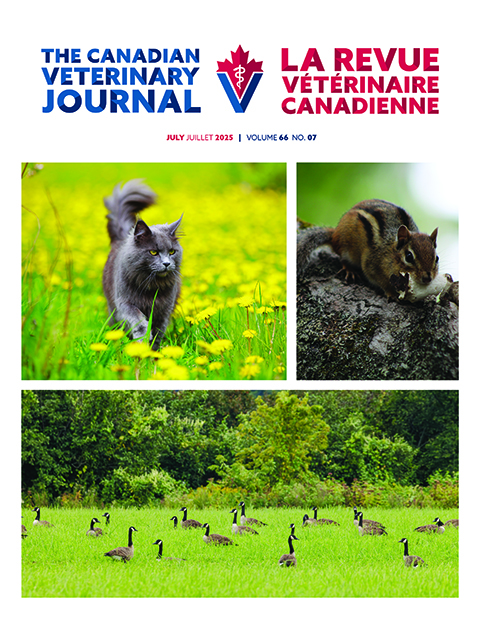 July 2025, Vol. 66, No. 7