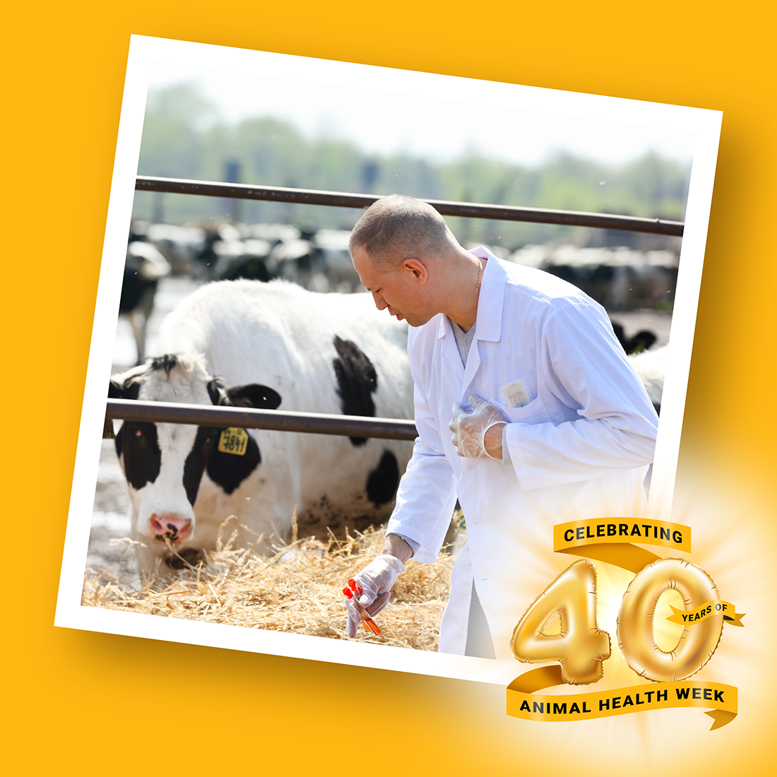 Animal Health Week