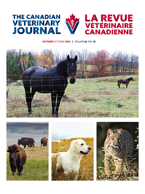 October 2025, Vol. 66, No. 10
