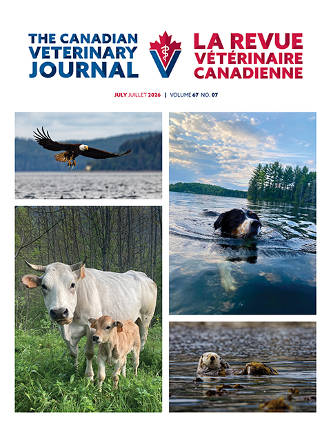 July 2026, Vol. 67, No. 7
