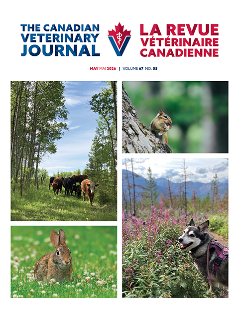 May 2026, Vol. 67, No. 5