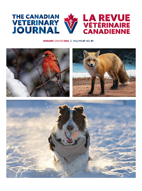 January 2026, Vol. 67, No. 1