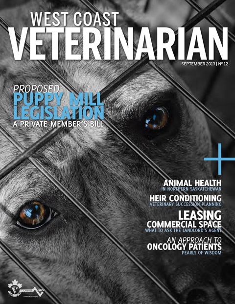 Fall 2013 Cover