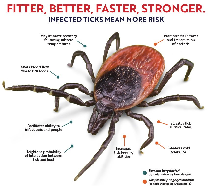 2024 National Tick Awareness Month