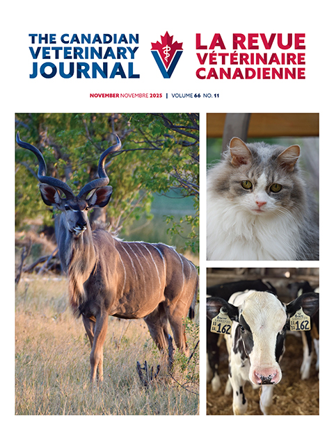 November 2025, Vol.66, No.11